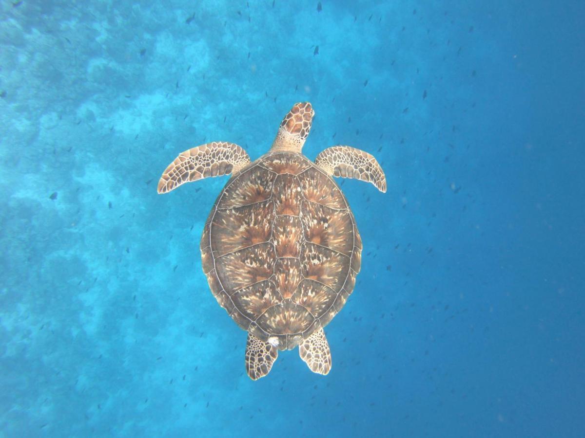 Hiraeth Island Home Guraidhoo  Luaran gambar