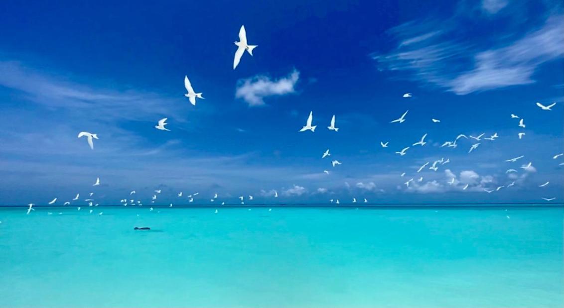 Hiraeth Island Home Guraidhoo  Luaran gambar